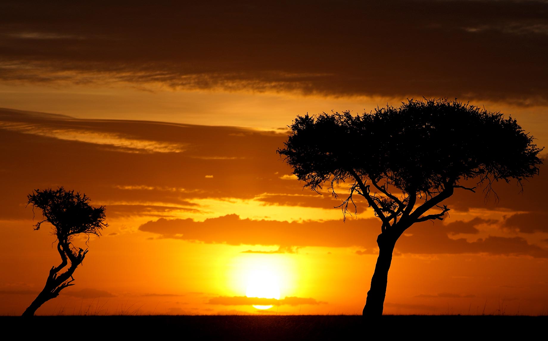 A First Timer's Guide to Kenya, Travel Information about Kenya