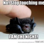 Funny-bat-cute-baby