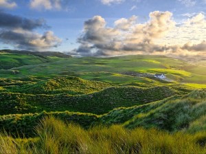 morning-sun-ireland_35187_990x742